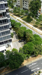 38 I Suites (D15), Apartment #177839822